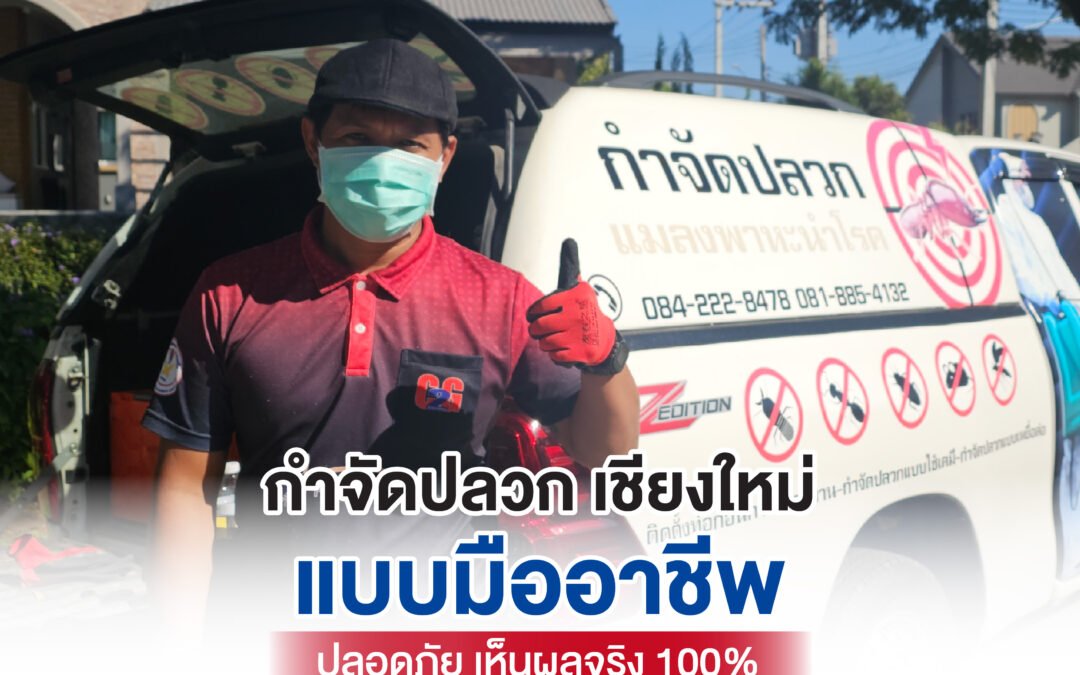 กำจัดปลวก เชียงใหม่ แบบมืออาชีพ ปลอดภัย เห็นผลจริง 100%
